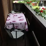 Haus Almrausch بيت ضيافة سيفيلد ان تيرول
