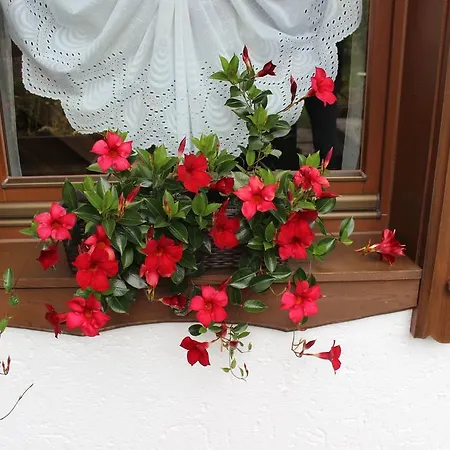 Haus Almrausch זיפלד אין טירול