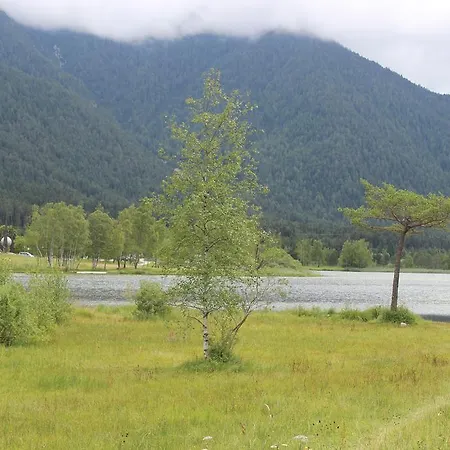 Gæstehus Haus Almrausch Seefeld in Tirol