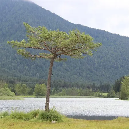 Haus Almrausch בית הארחה זיפלד אין טירול