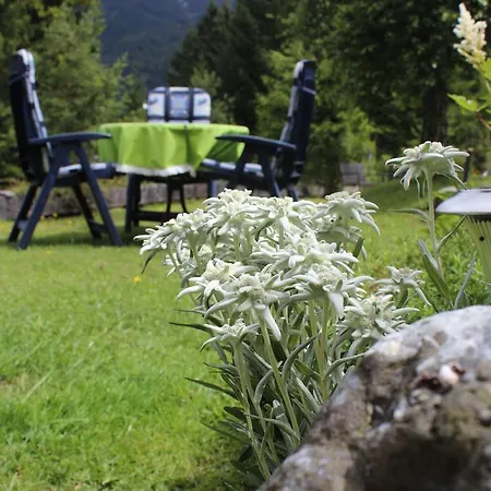 Haus Almrausch Seefeld in Tirol