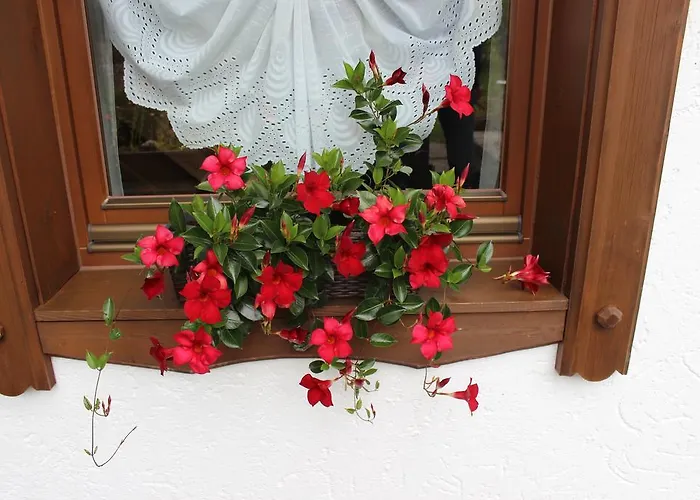 Haus Almrausch Ζέεφελντ