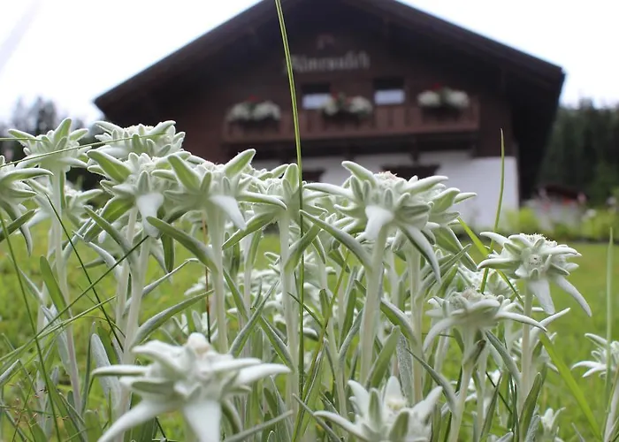 Haus Almrausch * Зеефельд в Тироле