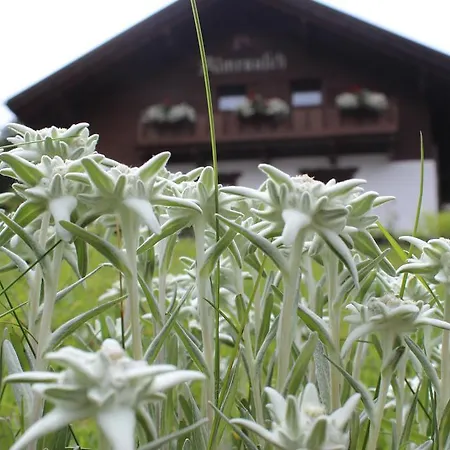 Haus Almrausch * Зеефельд в Тироле